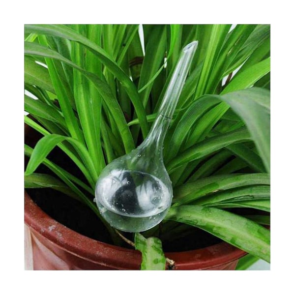 16st växtbevattningslökar Självbevattningsklot Blomma Automatisk bevattningsanordning Krukväxt Växt P