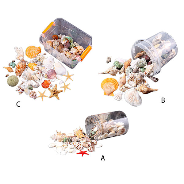 Snäckskal Ornament Akvarium Dekor 3 Val Möjligheter Blandade Strand Snäckskal Sjöstjärna Skal Havskorall för Fisk för Tank Dekora 0.23 A