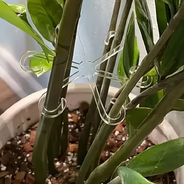 4st Växt Anti-tipp Stödstänger Gröna Växtfixerare Vikbara Hydroponiska Blomstöd 4pcs