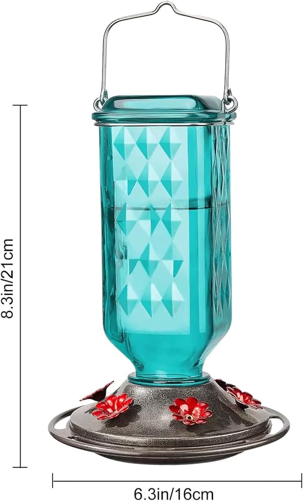 Kolibri-foderautomat i glas til udendørs brug 690 ml 6 foderporte Nektarfoderautomat som haveudsmykning Inkluderer myrefælde Turkis