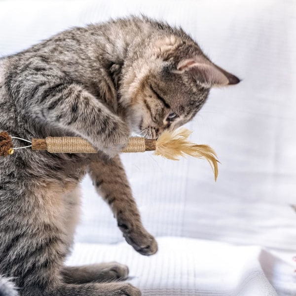 Kattmynta pinnar (3-pakning), tuggpinnar for katter, dentala tuggpinnar