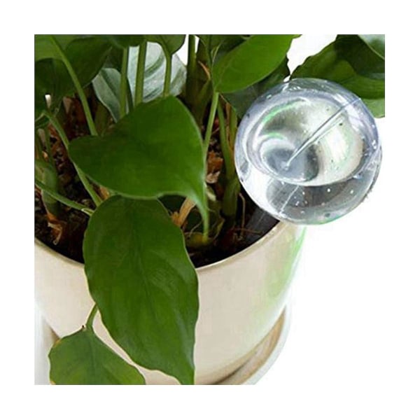 16st växtbevattningslökar Självbevattningsklot Blomma Automatisk bevattningsanordning Krukväxt Växt P