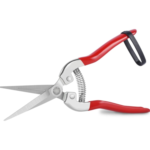 Plant and flower professional pruning shears