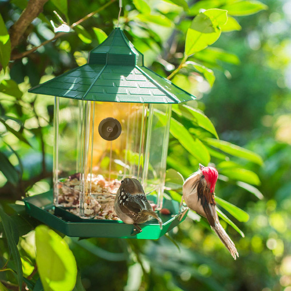 Fågelmatare med kamera Hd 1080p kamera wifi fjärransluts till mobiltelefon för att se fågelfoton utomhus för fågelentusiaster