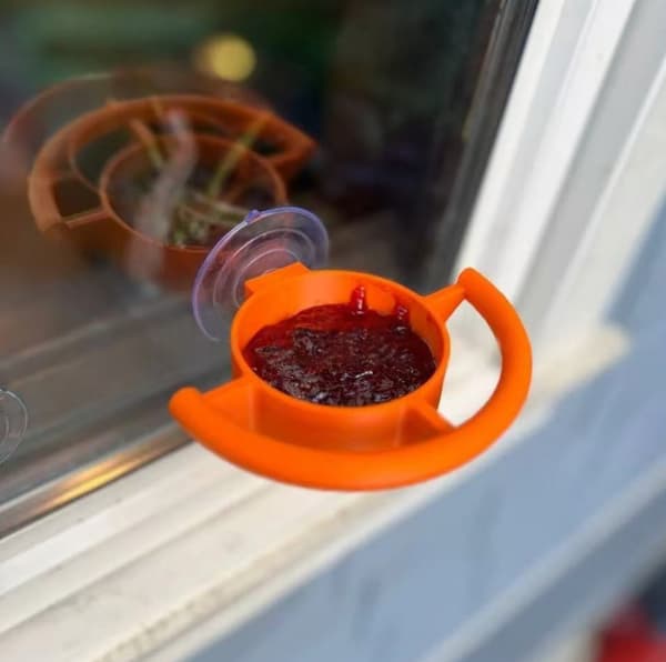 Fuglefoderbræt Vindues sugekopholder Udendørs fuglefoderbakke Klar visningsfoder til have og terrasse