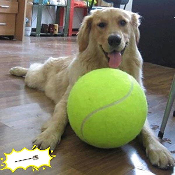 Giant 9,5\" Hundetennisbold Stor kæledyrslegetøj Sjovt Udendørs Sportsbold med Opblæsningsnåle til Lille Mellemstor Stor Hund