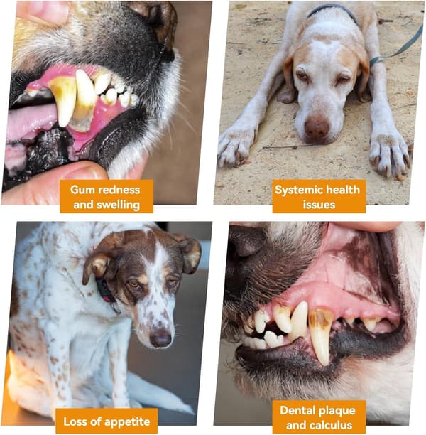 Elektrisk hundetandbørste med LED-lys, 5 justerbare tilstande, 5 børstehoveder, plakfjerner til hunde og katte, sort