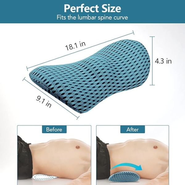 Swan Cushion for the Lumbar Back Ergonomic Memory Foam Swan Cushion, relieves back pain, CMFY Breathable & Removable & Washable, Perfect Back...