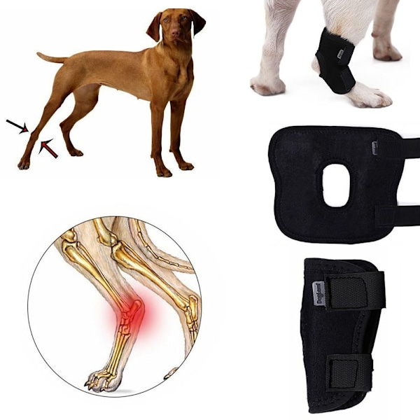 Knäskydd för husdjur Hundbensstöd XL XL