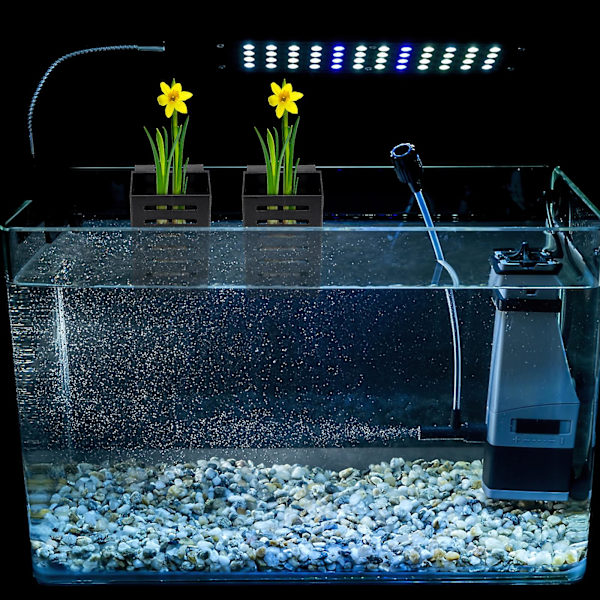 Akvarium Planteholder Hengende Akvatisk Plantepot Akvatisk Plantepot Med Hull Akvarium Plantingskopper Svart Black 2Pcs