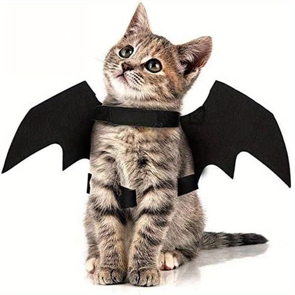 Justerbart flagermusvingekostume til katte og små hunde Blød polyester flagermuskappe til Halloweenfester Black M