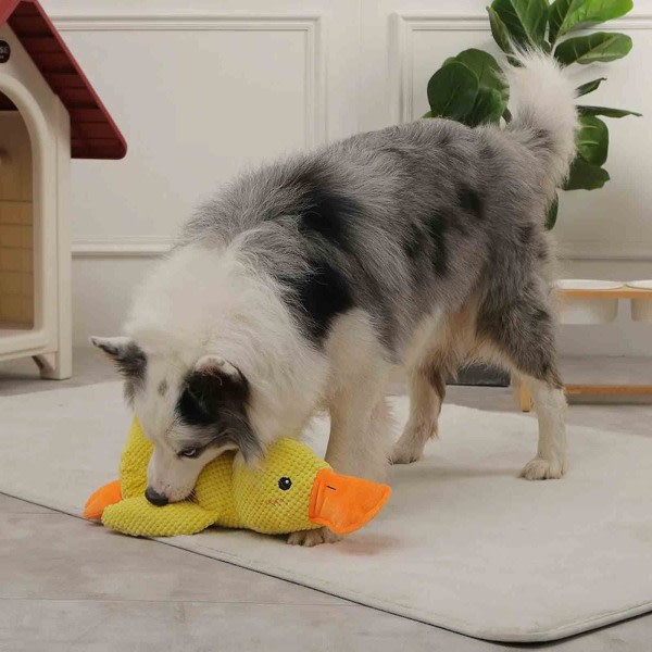 2024 UUSI,Zentric Quack-Quack Duck Dog Dog Lelu,Zentric Pehmo Koiran Lelu Squeak Dog Purulelut Keltainen
