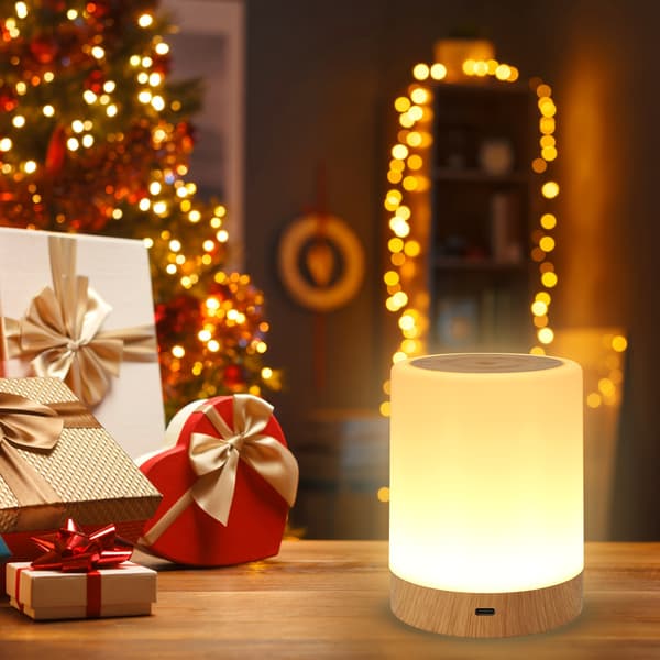 LED Touch Natlampe USB Opladning Dæmpbar Bordlampe Multi Farve Tilstand Timer Bærbar Sengekant Night Light