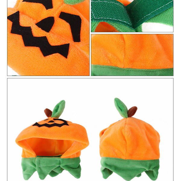 Katter Halloween Gresskarlue Gresskar Demon Lue Katter Hodeplagg