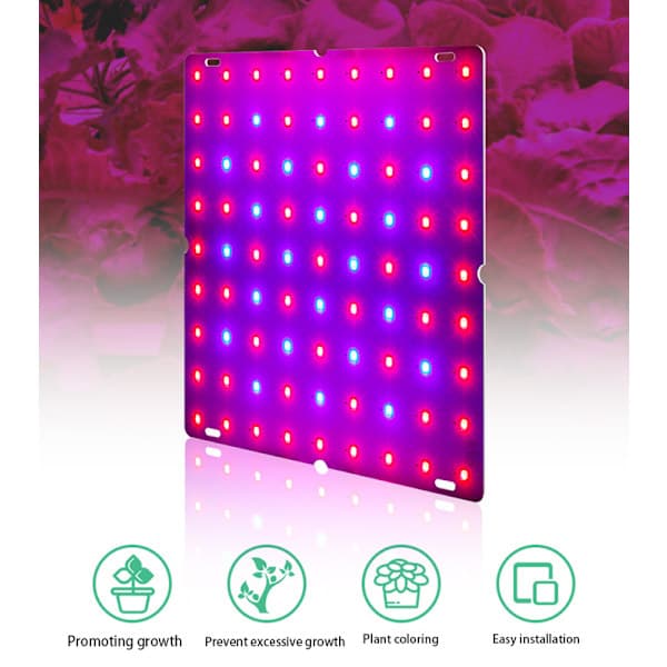 LED Vekstlys 2000W Full Spectrum Hydroponisk Vekstlys_xx