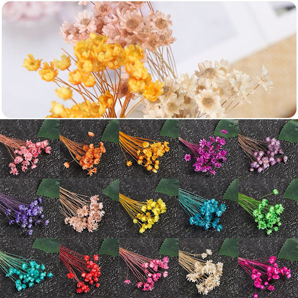 30 dekorativa torkade blommor Mini Daisy PEACH peach