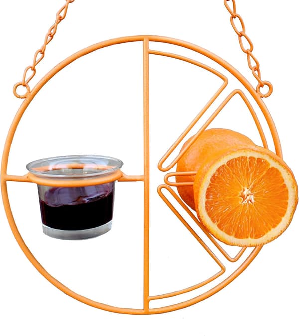 Automatisk fuglefoder Clementine Oriole Feeder Orange