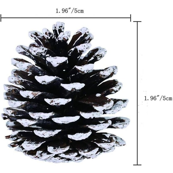 6 x julkottar 1,96" snötippade naturliga tallkottar trä frostat