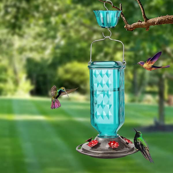 Kolibri-foderautomat i glas til udendørs brug 690 ml 6 foderporte Nektarfoderautomat som haveudsmykning Inkluderer myrefælde Turkis