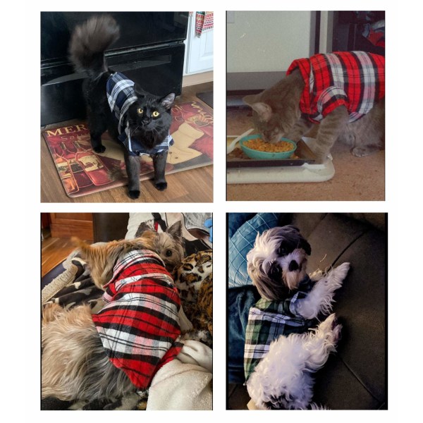 Koiran ruudullinen paita Lemmikkien muoti Ruudullinen paita Lemmikkikoiran  vaatteet Kissan ruudullinen paita Pehmeä ja mukava (vihreä, L) 93f3 | Fyndiq
