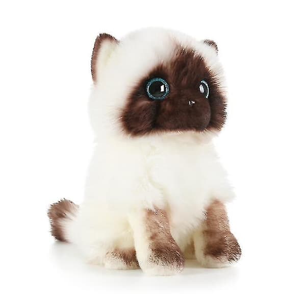 Söpö Ragdoll-kissa pehmolelu 26cm