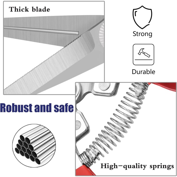 Professionell beskärningssax för växt och blomma