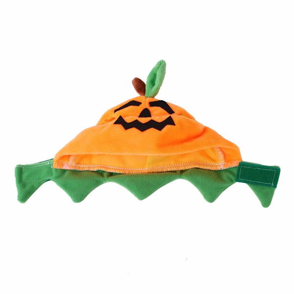 Katter Halloween Gresskarlue Gresskar Demon Lue Katter Hodeplagg