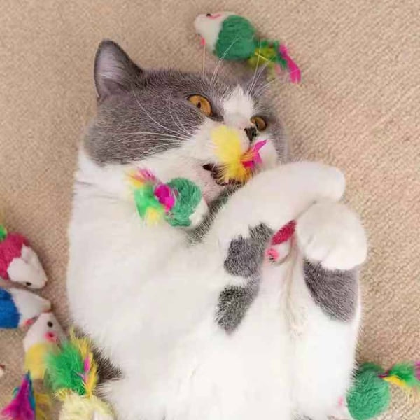 Katt Kattmynta Mus Leksaker, 17 Stk Katt Mus Leksaker, Mjuka Mus Leksaker, Katt Leksak Mus Rassel Set