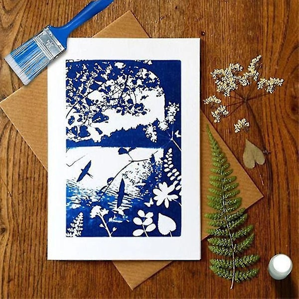 Cyanotype-sæt giver en tegning eller billeder med Cyanotype Kit 100ml