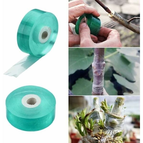 2 pakkausta 20 mm leveää oksastusteippiä, biohajoava kosteussuoja, kukkakalvo