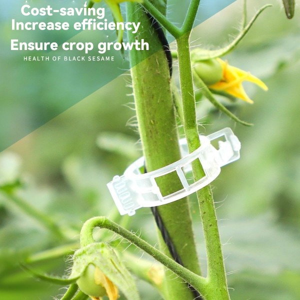 100/200/300 st plantstöd clips, plantklämmor för klätterväxter, ympverktyg upprätt växtväxande återanvändbar (grön/vit) green 100pcs