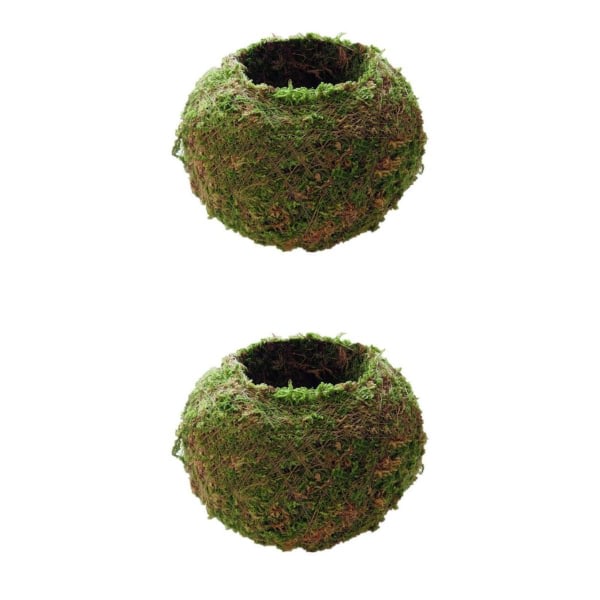 2kpl Ball Moss Kukkaruukut Planter Bonsai Garden Decor