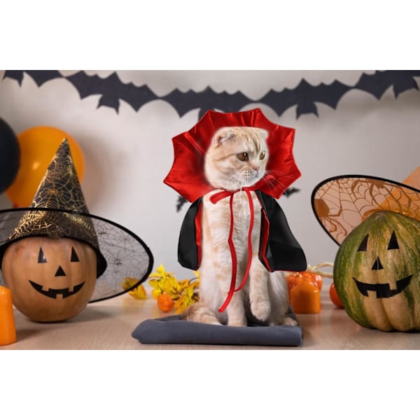 Halloween-säädettävä punainen ja musta lemmikkikapea, Halloween-lemmikkivarusteet