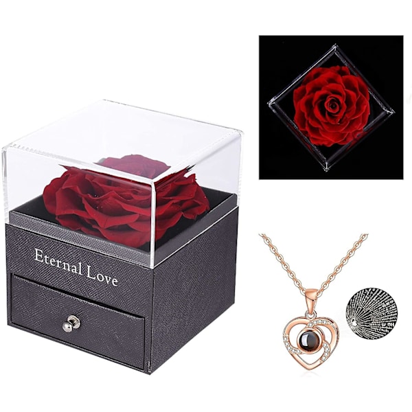Bevarad äkta ros med Love You-halsband i 100 språk presentset
