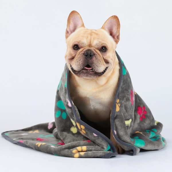1 Pack 3 Filtar Mjuka Premium Fleece Djurfiltar Flanell Paw Tryckt Pläd för Hund Katt (Small 23x16'', Grå/Brun/Blå)