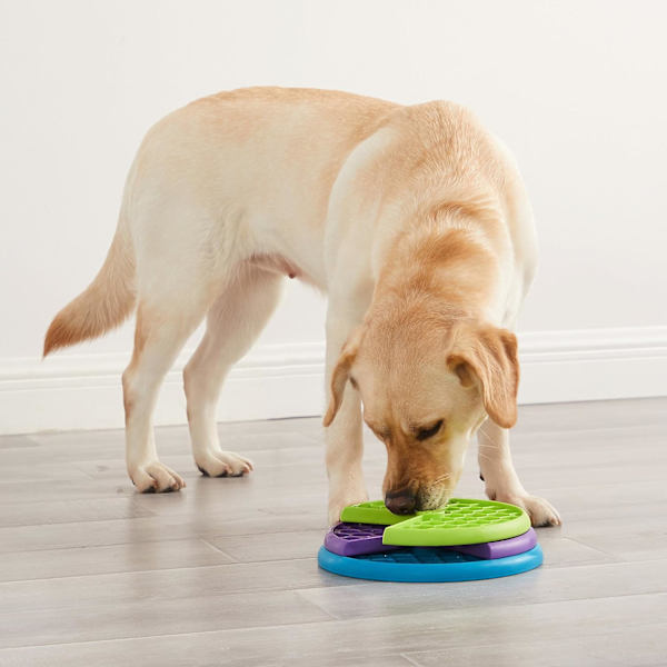 Outward Hound Lickin' Layers Interaktivt hundpusselspel och slow feeder