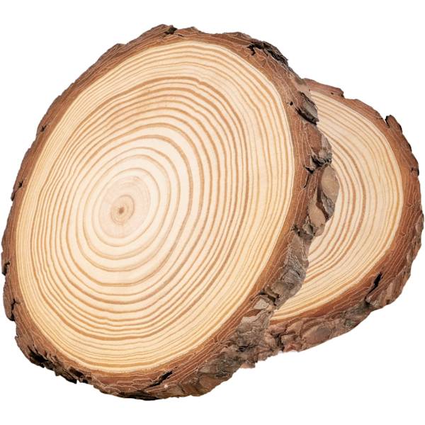 Naturlige treplater 18-20cm, 2 stk Trestokkplater Uten Hull, Ubehandlet Treplater