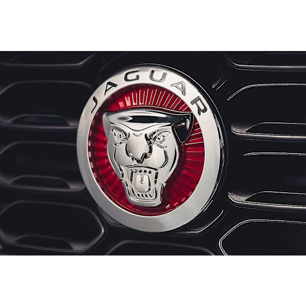 2,83 tommers frontgrill-emblem passer til Jaguar Xf merke-dekal for Xf dekal-emblem (rød)