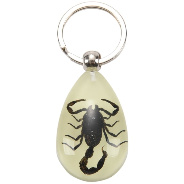 Glow-in-the-dark Real Insect Keychain (svart)