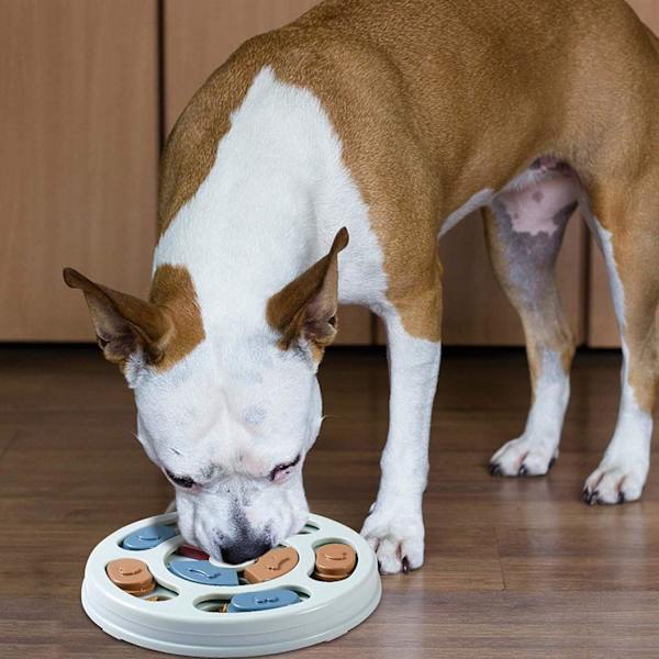 Hundleksak pussel feeder intelligens hund pussel utbildning leksaker hundar leksak med halkfri, Slow Feeder pusselskål