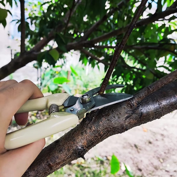 Hagebeskjæring Hagesakser Håndbeskjærer Beskjæringssaks for grener, blomster, fruktplukking, trimming av planter, bonsai (plast)