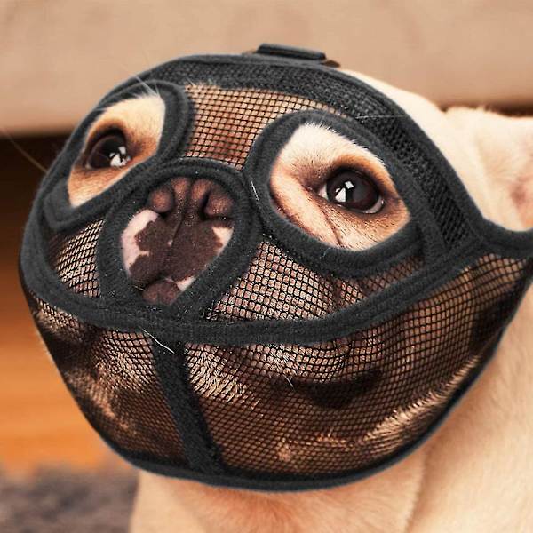 Kort nos hund munkorg Bulldog munkorg, Stop hund för att bita skällande