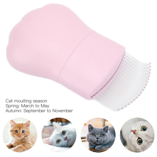 Massage Shell Comb, Pet Comb