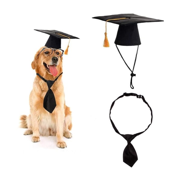 Lemmikkieläinten valmistumislakit solmio koiran cap Musta polyesteri cap tee-se-itse koirille kissoille juhlapukutarvikkeet