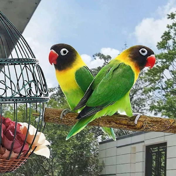 Set med 5 naturliga träpinnar för fåglar, naturliga träpinnar, fågeltillbehör, parakiter, fågel leksaker, stående klättrare, fågelbur