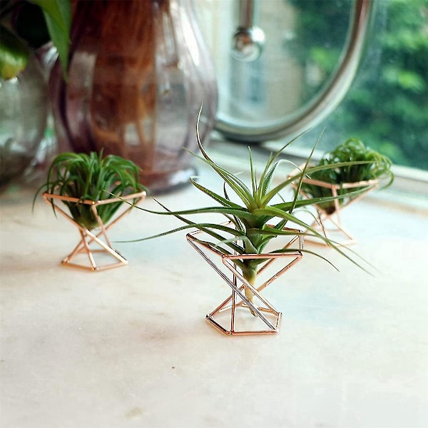 10-pack luftväxtställ, luftväxtställ, tillandsia-display, luftrenande växtbehållare, luft F
