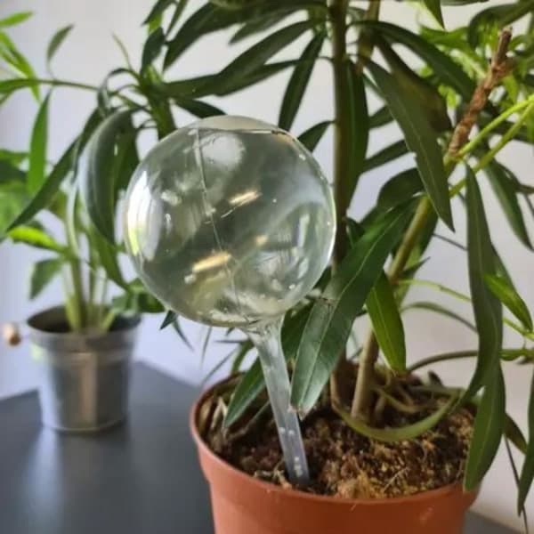 8-pakning Selvvanende Automatiske Blomstervannere Lang Tid