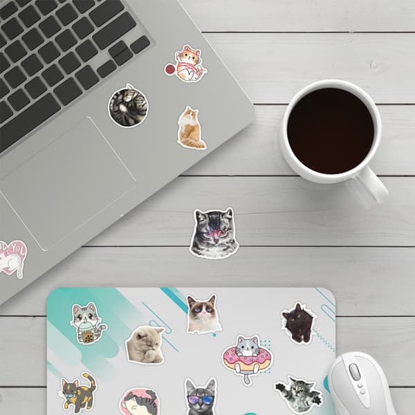 Kattemærkater | 50 stk. | Vandtætte vinylmærkater til bærbar computer, skateboard
