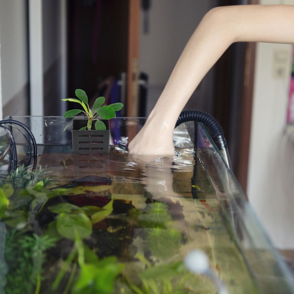 Akvarium Planteholder Hengende Akvatisk Plantepot Akvatisk Plantepot Med Hull Akvarium Plantingskopper Svart Black 2Pcs