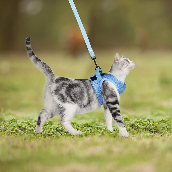 Säädettävä kissan kävelytakki sisäänvedettävällä vyöllä